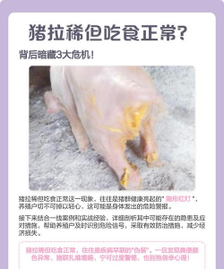猪流行性腹泻怎么治 猪流行性腹泻怎么治