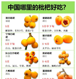 枇杷 枇杷百科 枇杷 枇杷百科