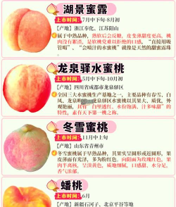 桃子 桃子百科 桃子 桃子百科