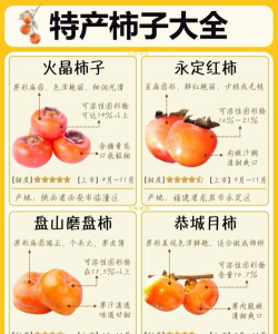 柿子 柿子百科 柿子 柿子百科