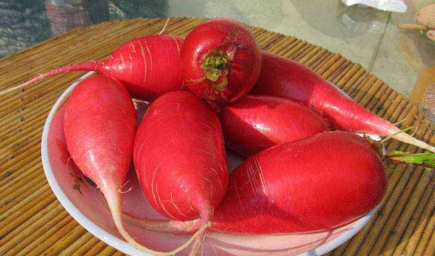 仪陇胭脂萝卜 仪陇胭脂萝卜