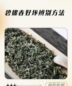 碧螺春怎样鉴别好坏 碧螺春怎样鉴别好坏