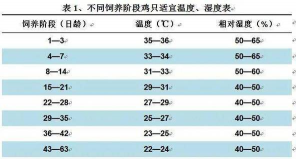 鸡舍温度标准多少度 鸡舍温度标准多少度