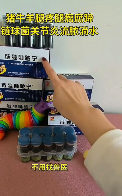 猪腿跛怎么用药 猪腿跛怎么用药