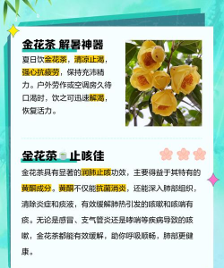 金银花茶泡水喝有什么功效 金银花茶泡水喝有什么功效