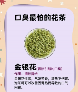 喝什么茶能去口臭比较好 喝什么茶能去口臭比较好