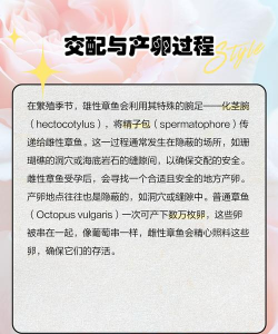 章鱼的养殖方法和注意事项 章鱼的养殖方法和注意事项