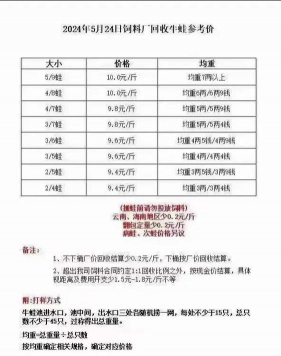2024年牛蛙多少钱一斤 2024年牛蛙多少钱一斤