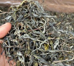 2024年冰岛茶叶一斤多少钱 2024年冰岛茶叶一斤多少钱