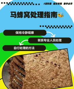 养蜂管理办法 养蜂管理办法