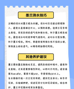 墨兰如何判断需要浇水 墨兰如何判断需要浇水