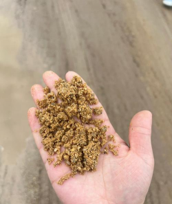 为什么扦插用沙子 为什么扦插用沙子