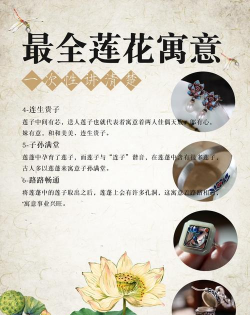 家中种荷花寓意什么 家中种荷花寓意什么