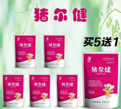 猪尔健多少钱一 猪尔健多少钱一