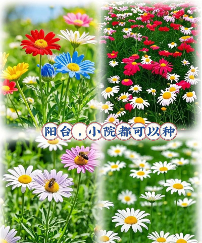 春天适合播种哪些植物 春天适合播种哪些植物