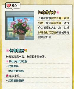 什么花花语代表长寿 什么花花语代表长寿