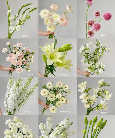 常见的花卉类型有哪些 常见的花卉类型有哪些