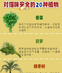 哪些植物可以预防雾霾 哪些植物可以预防雾霾
