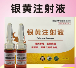 猪喘气病打什么针最好 猪喘气病打什么针最好