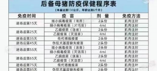 猪什么时候打疫苗 猪什么时候打疫苗