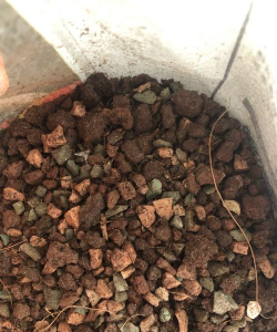 颗粒土里面有什么 颗粒土里面有什么