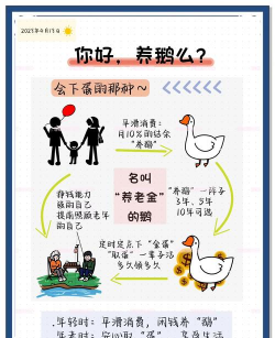 养鹅要什么条件 养鹅要什么条件