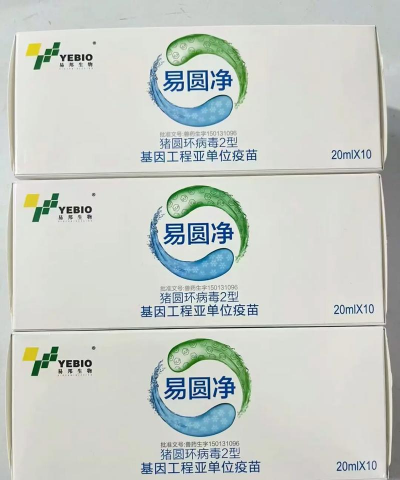 圆环苗什么价位 圆环苗什么价位