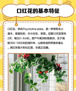 什么花植物能制作口红 什么花植物能制作口红