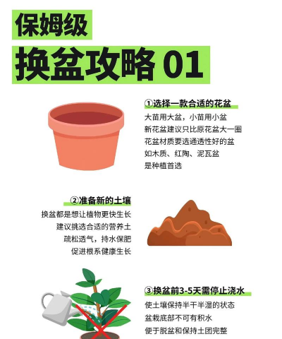 盆栽换盆要注意什么 盆栽换盆要注意什么