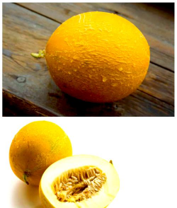 新疆戈壁滩农作物种类 新疆戈壁滩农作物种类