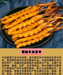 拉萨主要农作物简介 拉萨主要农作物简介