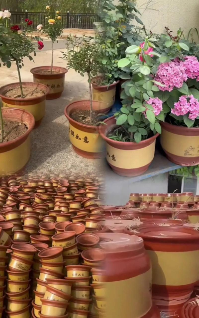 种花粗沙多少直径 种花粗沙多少直径