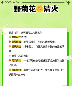 房前屋后能否栽黄菊花 房前屋后能否栽黄菊花