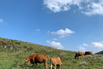 国家草原自然公园 国家草原自然公园