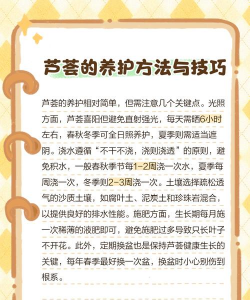 芦荟放在什么地方吉利 芦荟放在什么地方吉利