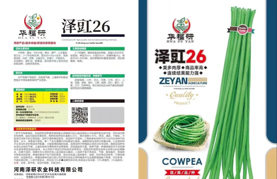 豇豆什么种 豇豆什么种