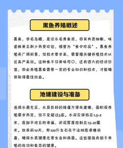 怎么养黑鱼 怎么养黑鱼
