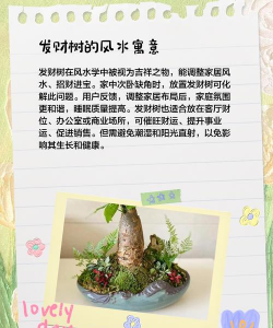 发财树开花预示什么 发财树开花预示什么