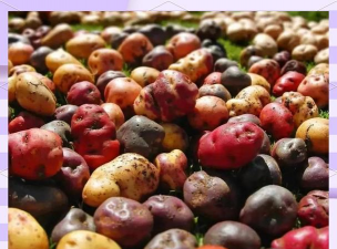 马铃薯遇到什么颜色 马铃薯遇到什么颜色