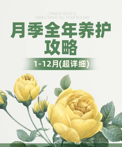 月季什么季节繁殖 月季什么季节繁殖