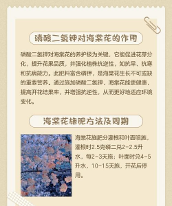 海棠花如何施肥 海棠花如何施肥