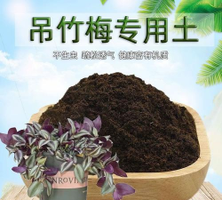 吊竹梅用什么肥料 吊竹梅用什么肥料