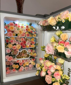 能放冰箱里的花有哪些 能放冰箱里的花有哪些