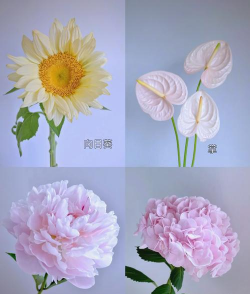 块状花材有哪些花 块状花材有哪些花