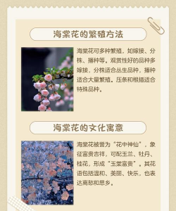 如何使海棠开花 如何使海棠开花