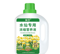 水仙要浇什么肥 水仙要浇什么肥