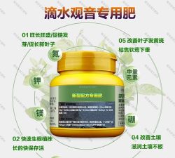 滴水观音浇什么肥 滴水观音浇什么肥