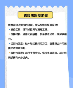 如何嫁接榕树 如何嫁接榕树