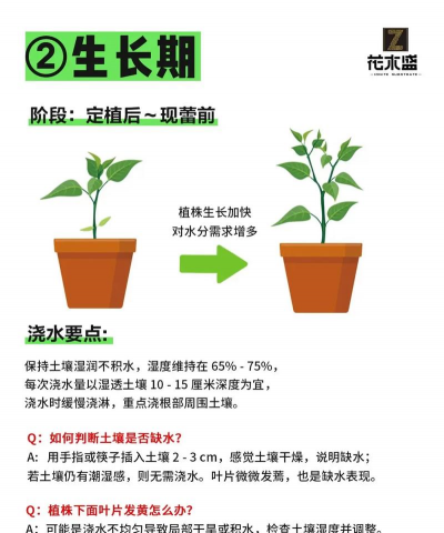 辣椒怎么栽培 辣椒怎么栽培