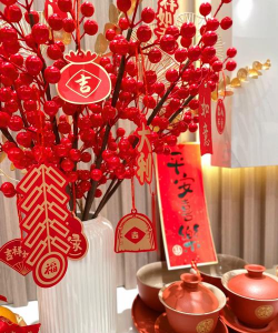 家里养盆它,枝头挂满红灯笼,红红火火过新年! 家里养盆它,枝头挂满红灯笼,红红火火过新年!